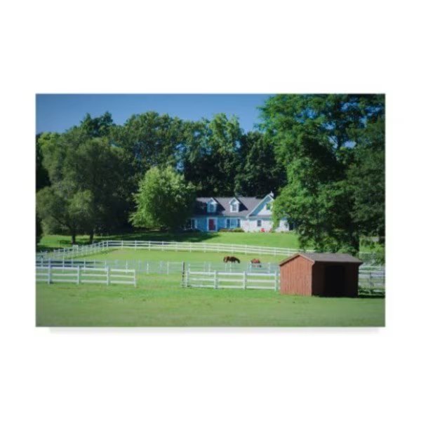 Anthony Paladino 'Horses In Fenced Pasture' Canvas Art, 16x24, Trademark Fine Art, Mfr#: ALI24704-C1624GG